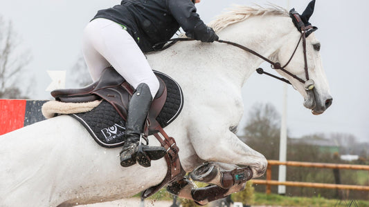 Best of Natural, la marque N°1 des sportives !