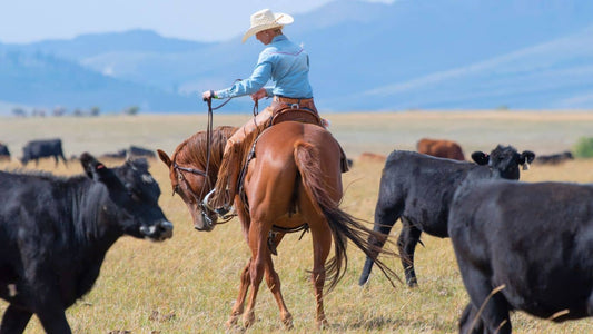 Partenaire Breizh Cowboys 2025